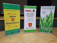 Pokaż zdjęcie w powiększeniu Gołębie zdjęcie