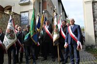 Pokaż zdjęcie w powiększeniu Gołębie zdjęcie