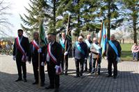 Pokaż zdjęcie w powiększeniu Gołębie zdjęcie