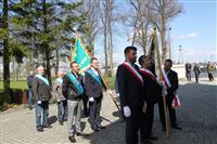 Pokaż zdjęcie w powiększeniu Gołębie zdjęcie