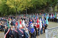 Pokaż zdjęcie w powiększeniu Gołębie zdjęcie