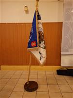 Pokaż zdjęcie w powiększeniu Gołębie zdjęcie