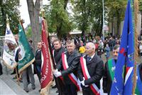 Pokaż zdjęcie w powiększeniu Gołębie zdjęcie