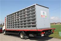 Pokaż zdjęcie w powiększeniu Gołębie zdjęcie