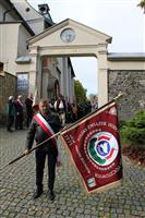 Pokaż zdjęcie w powiększeniu Gołębie zdjęcie