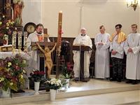 Pokaż zdjęcie w powiększeniu Gołębie zdjęcie