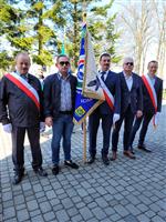 Pokaż zdjęcie w powiększeniu Gołębie zdjęcie